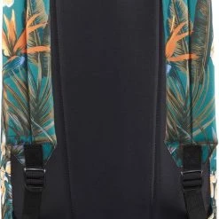 Beste deal π₯ Dakine 365 PACK 21L - EMERALD TROPIC π₯° 5 Beste deal π₯ Dakine 365 PACK 21L - EMERALD TROPIC π₯° -tassen-dames Verkoop 480x840 1