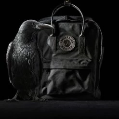 Begroting π Fjallraven Fjällräven Kånken No. 2 Black Mini Unisex Rugzak - Black π― 10 Begroting π Fjallraven Fjällräven Kånken No. 2 Black Mini Unisex Rugzak - Black π― -tassen-dames Verkoop 550x385 4