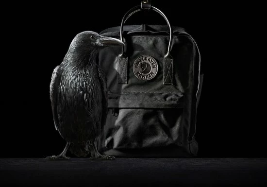 Begroting π Fjallraven Fjällräven Kånken No. 2 Black Mini Unisex Rugzak - Black π― 4 Begroting π Fjallraven Fjällräven Kånken No. 2 Black Mini Unisex Rugzak - Black π― - Afbeelding 4