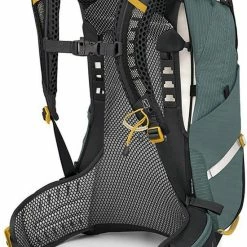 Beste Verkoop π Osprey Sirrus Rugzak Vrouwen β€οΈ 20 Beste Verkoop π Osprey Sirrus Rugzak Vrouwen β€οΈ -tassen-dames Verkoop 550x783 2